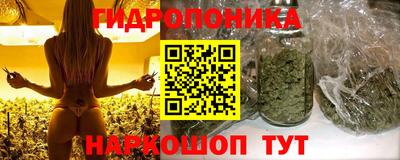 скорость Аргун