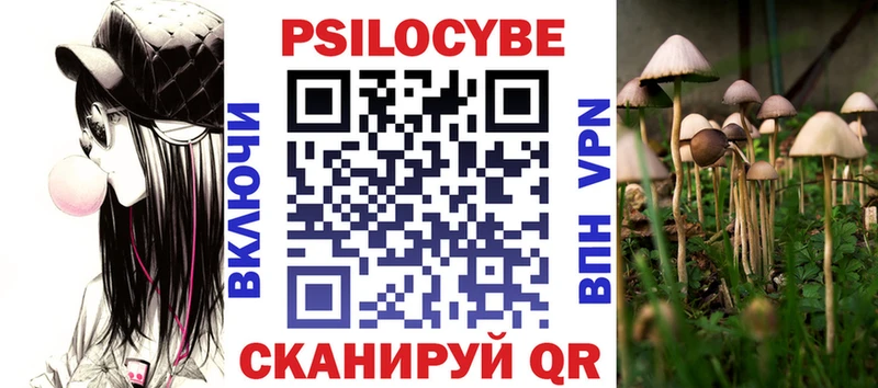 закладка  Бердск  Псилоцибиновые грибы Cubensis 
