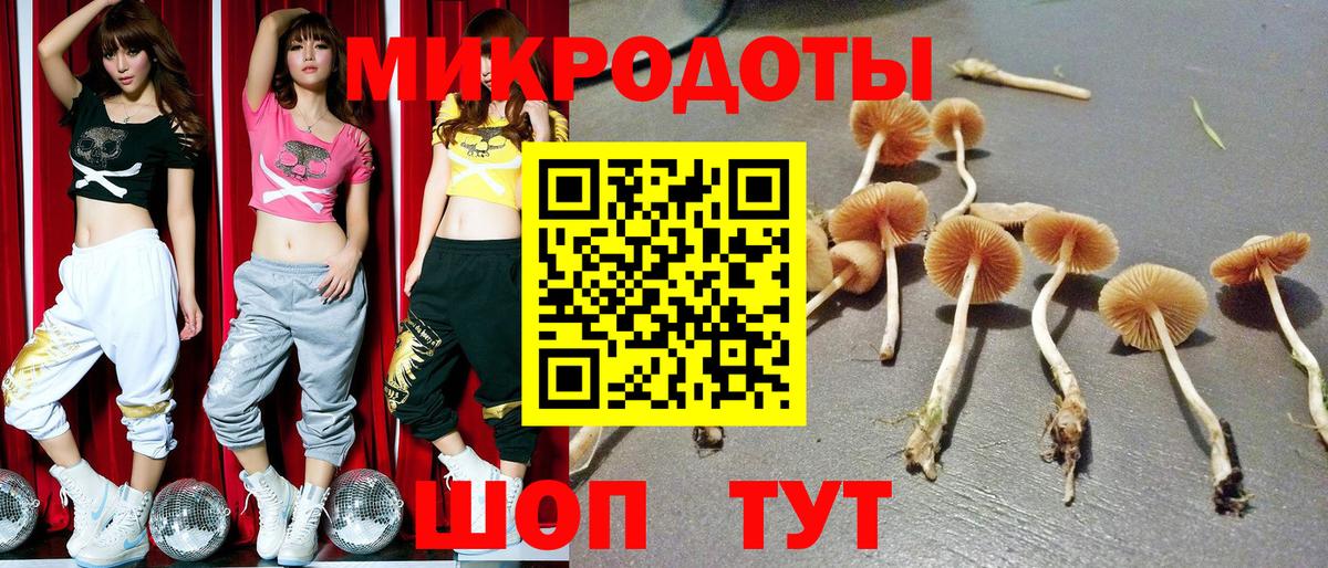Бердск  Галлюциногенные грибы MAGIC MUSHROOMS  Вход с VPN 